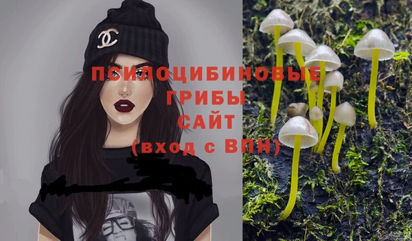первитин Покровск